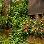 Corten steel flower pot, detail