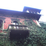 East view, overgrown wall